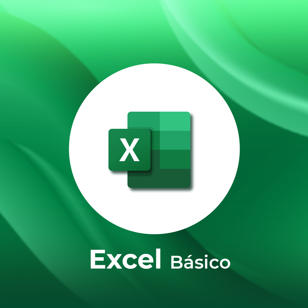 Excel Básico Certificado